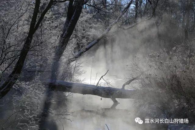 喜欢和合适,哪个更重要?-专注于喜欢和合适,哪个更重要?的红迪网平台